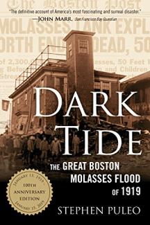 Dark Tide by Stephen Puleo
