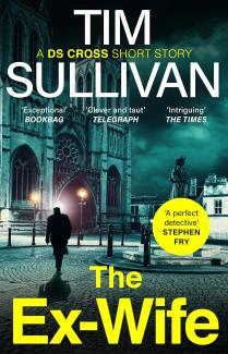 The Ex-Wife by Tim Sullivan
